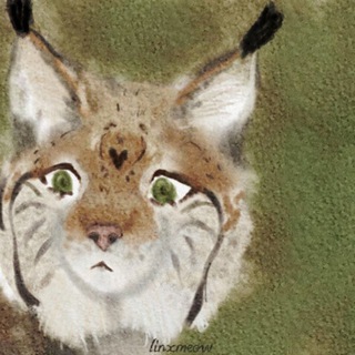 Telegram profile photo for Linxmeow Forest Home