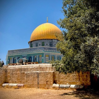 Telegram profile photo for حَنيـ 𓂆ـنُ الأَقـصـىٰ 🇵🇸🔻
