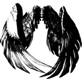 Telegram profile photo for 𝐈̷𝐍︬𝐅̗̕͢𝐎̷.