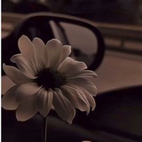 Telegram profile photo for أثـ ر عـ ـابـ ـرة.!