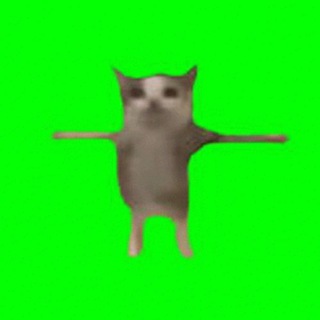 Telegram profile photo for T POSE Portal