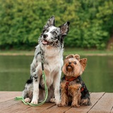 Telegram profile photo for Y.Roy&BC.Basty