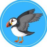 Telegram profile photo for Puffin Global News