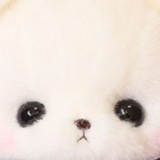 Telegram profile photo for archive mylou