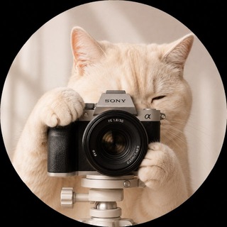 Telegram profile photo for n.anasteyha 📷🪄