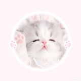 Telegram profile photo for ˳𐑞 @doliesm's archive 🍥♡