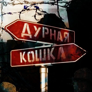 Telegram profile photo for Дурная кошка