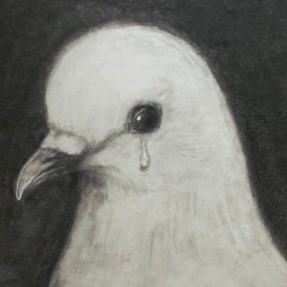 Telegram profile photo for Eratic