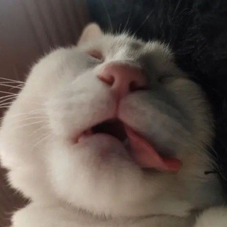 Telegram profile photo for закрыт! мои подкроватные грехи