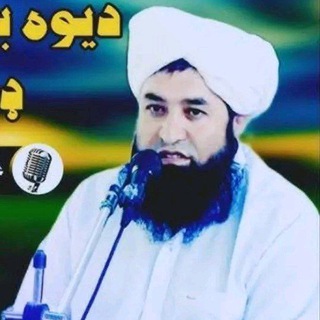 Telegram profile photo for 🎙شیخ علامه عبدالبصیرصاحب بیانونه🎙