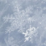 Telegram profile photo for Frosty