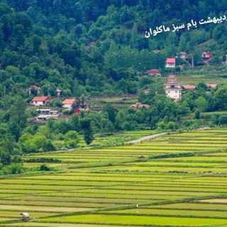 Telegram profile photo for کانال عمومی درشهر ماکلوان کانالی برای همه تالشان