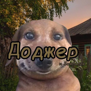 Telegram profile photo for 🗿Доджер & Бомбалик🧏♂️