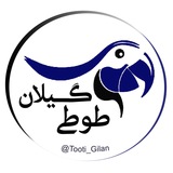 Telegram profile photo for طوطى گيلان