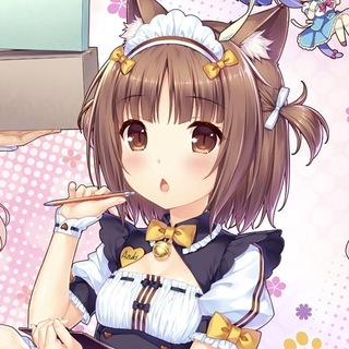 Telegram profile photo for lysha временно закрыт