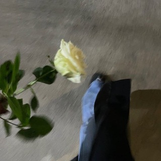 Telegram profile photo for همسات هادئة