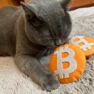 Telegram group profile photo for Stimulator