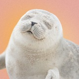 Telegram profile photo for Сміливі мати щастя