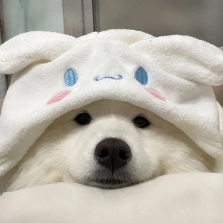 Telegram profile photo for Rin Vouches