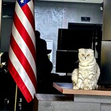 Telegram profile photo for ENGLISH with JAVLON