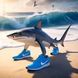 Telegram profile photo for Ivan_Solar