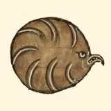 Telegram profile photo for Челюсть Ранкора | Софья Зайцева