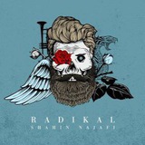 Telegram profile photo for Shahin Najafi