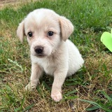 Telegram profile photo for Юз занят Алли