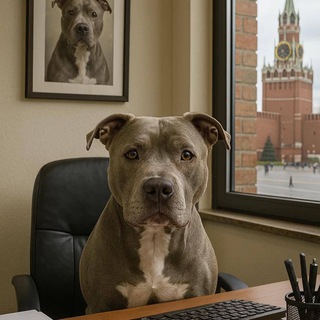 Telegram profile photo for Petey delivery