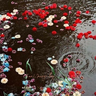 Telegram profile photo for Под дождём☔🌧