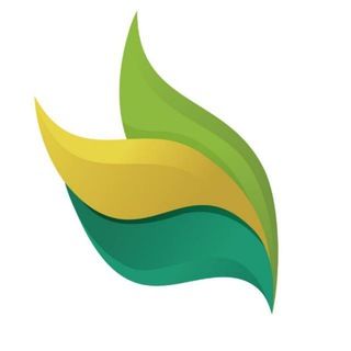 Telegram profile photo for מוזיקה - צבעים הפקות