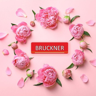 Telegram profile photo for BRUCKNER - Чай, каким он должен быть!