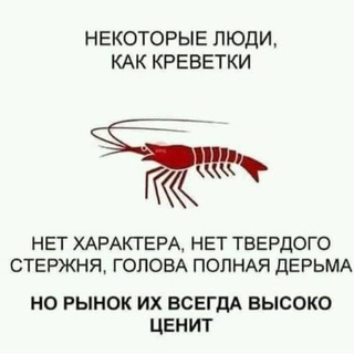 Telegram profile photo for Следствие вели 🎲🎲🎲