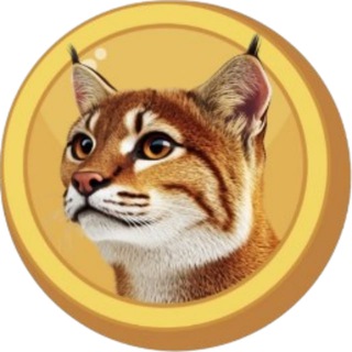 Telegram profile photo for Golden Cat Official🐱