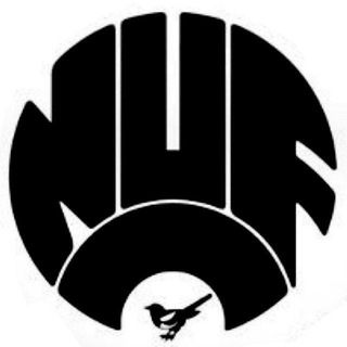 Telegram profile photo for Английские сороки | Newcastle United
