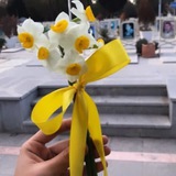 Telegram profile photo for خدای مهربان