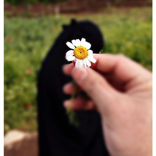 Telegram profile photo for الدُّرة المكنونة••🌍🤍