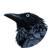 Telegram profile photo for Neuro Crow Arts