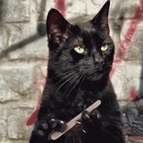 Telegram profile photo for Твоя подружка
