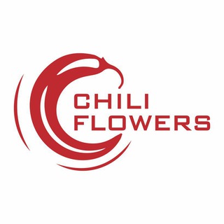 Telegram profile photo for Гуртівня квітів Chili Flowers🌹Квіти Оболонь опт Київ