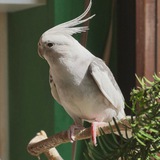 Telegram profile photo for пыль и пиксели