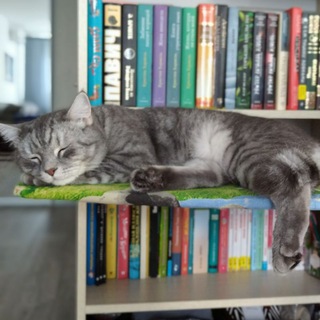 Telegram profile photo for Цундоку (книжная лента) 📚