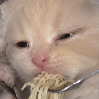 Telegram profile photo for солнечный балбес ✿