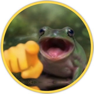 Telegram profile photo for LEAPD FROG