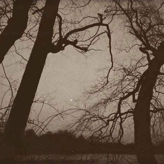Telegram profile photo for DSBM Depressive Black Metal