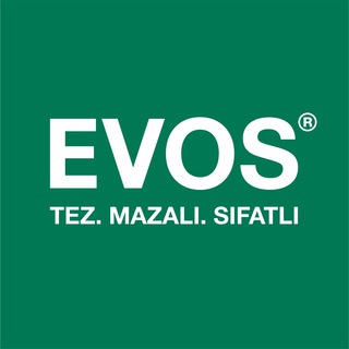 Telegram profile photo for Бот-сайт «EVOS»