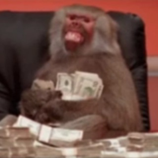 Telegram profile photo for Monkey Trade