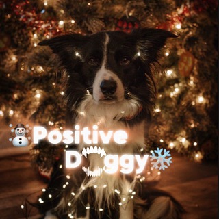 Telegram profile photo for ☃️Positive doggy❄️
