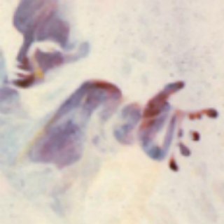 Telegram profile photo for Durch die Krise in die Freiheit