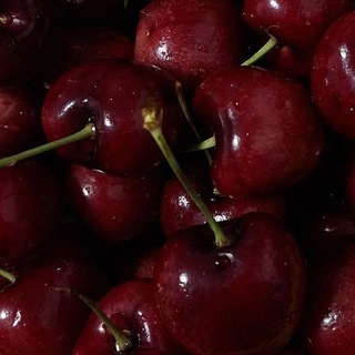 Telegram profile photo for ꫂ᭪݁𝓒𝓱𝓮𝓻𝓻𝔂 🍒𝓖𝓪𝓻𝓭𝓮𝓷ꫂ᭪݁